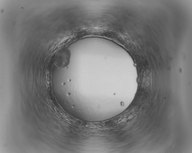 X0000059041301200510281532