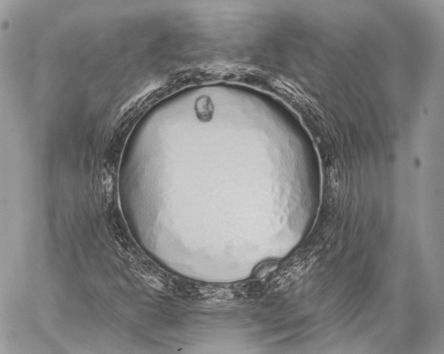 X0000059041302200510281532