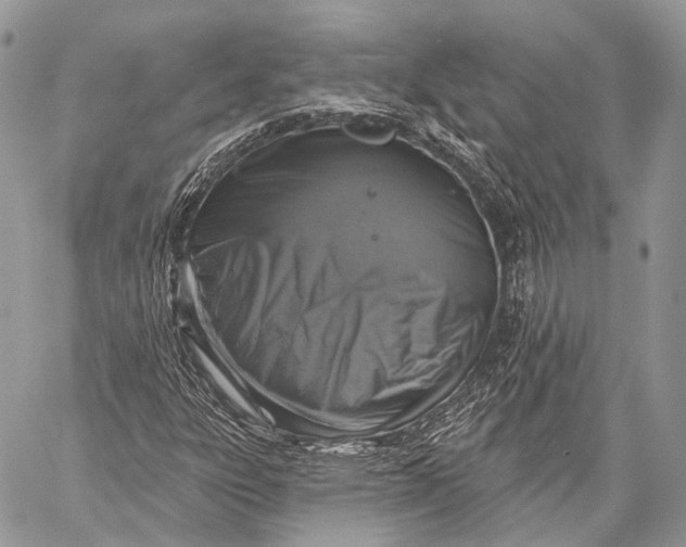 X0000059041303200510281532