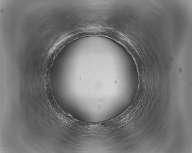 X0000059041304200510281532