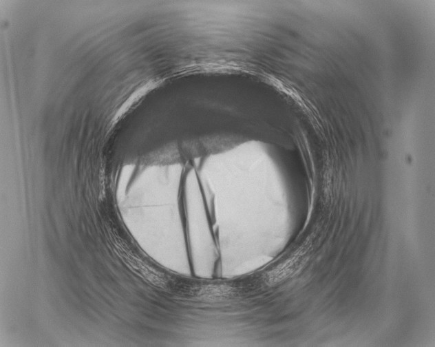 X0000059041306200510281532