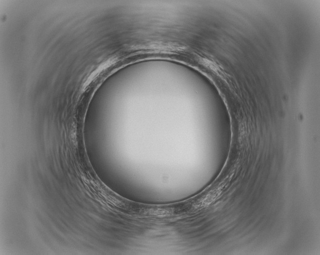 X0000059041307200510281532