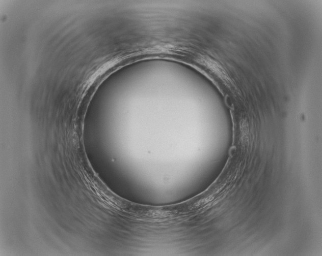 X0000059041308200510281532