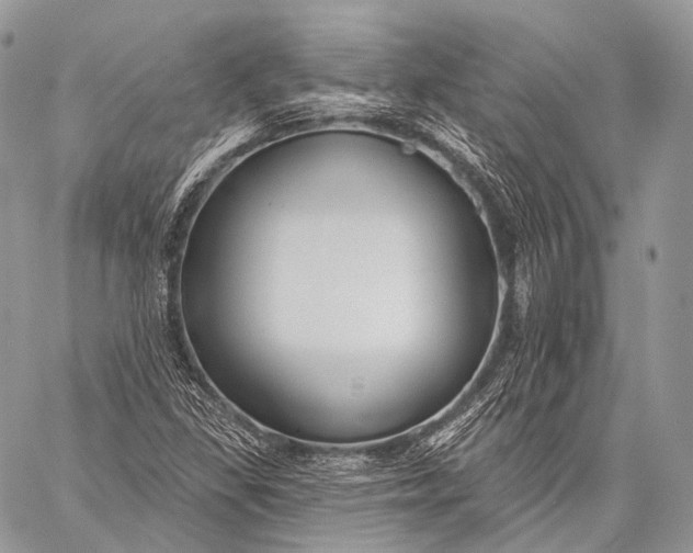 X0000059041309200510281532