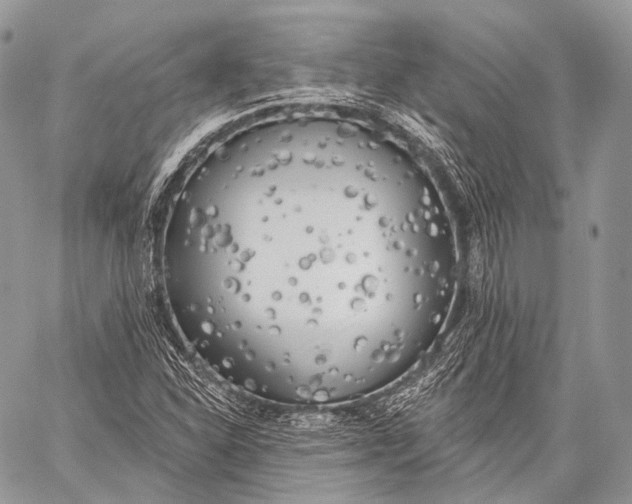 X0000059041310200510281532