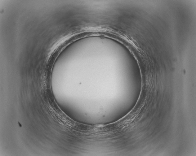 X0000059041311200510281532