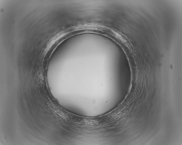 X0000059041312200510281532