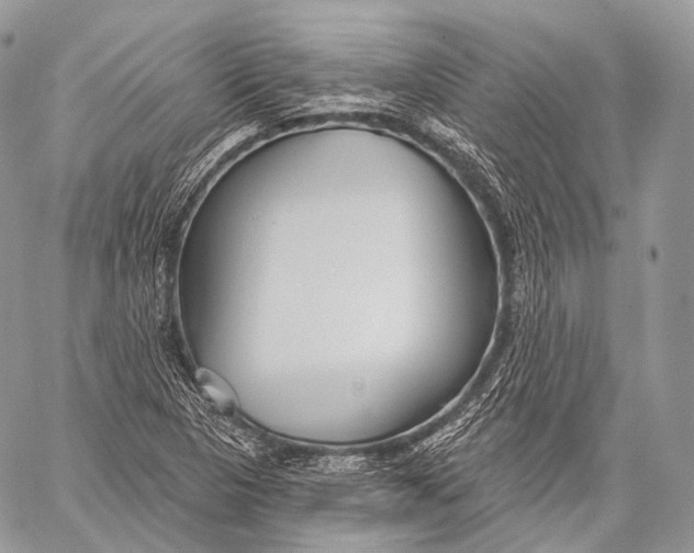 X0000059041313200510281532