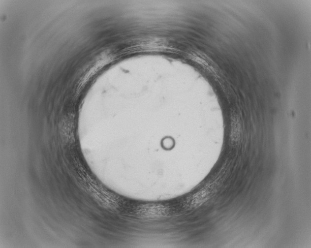 X0000059041314200510281532