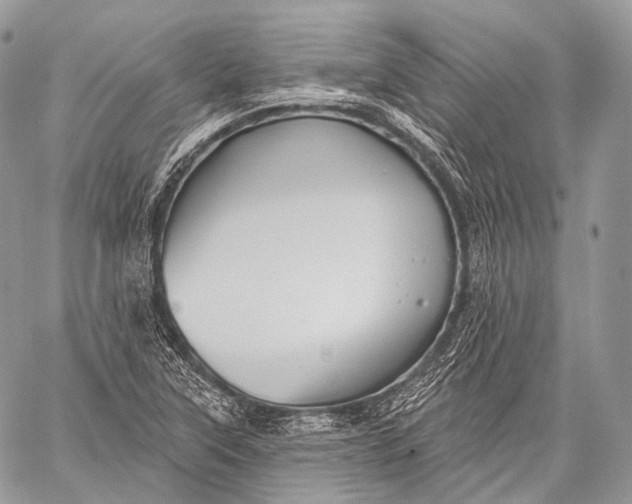 X0000059041315200510281532