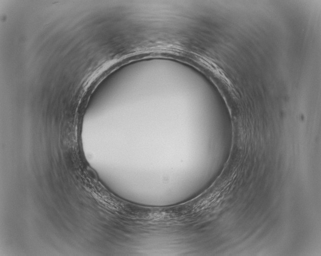 X0000059041316200510281532