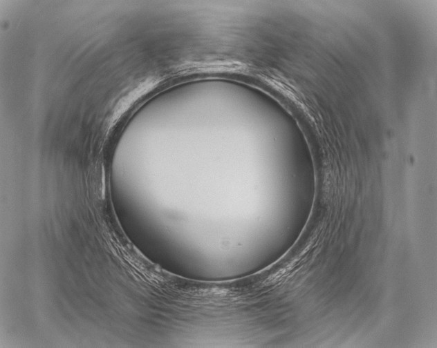 X0000059041317200510281532