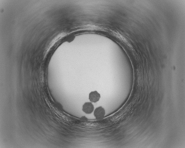 X0000059041318200510281532