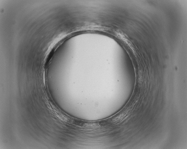 X0000059041320200510281532