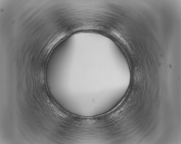 X0000059041321200510281532