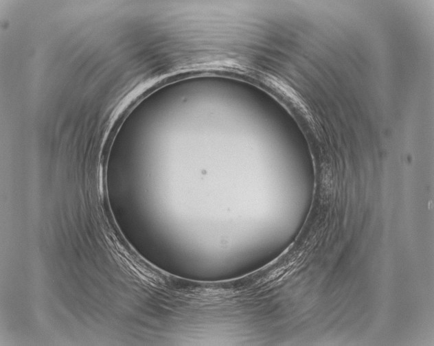 X0000059041324200510281532