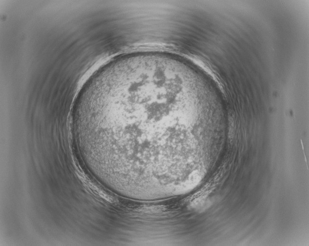 X0000059041325200510281532