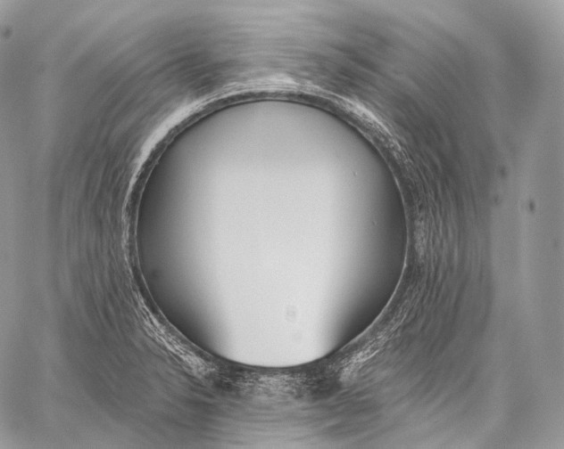 X0000059041326200510281532