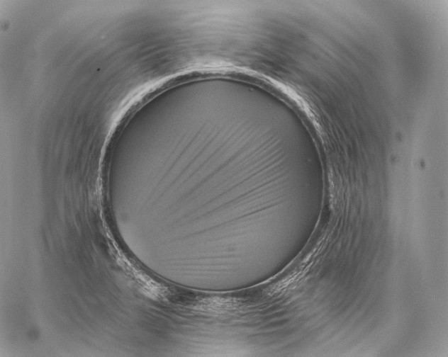 X0000059041327200510281532