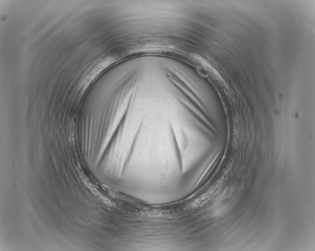 X0000059041329200510281532