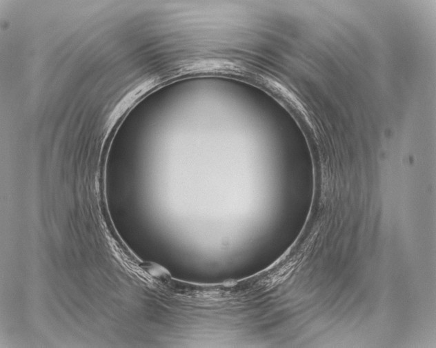 X0000059041330200510281532