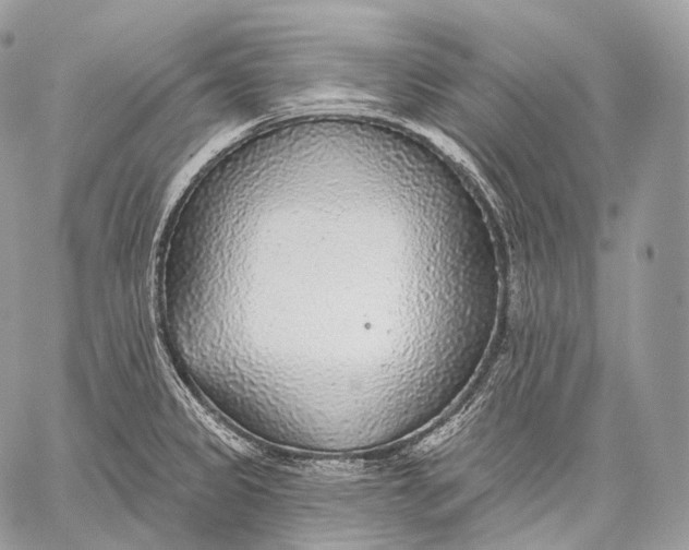 X0000059041333200510281532