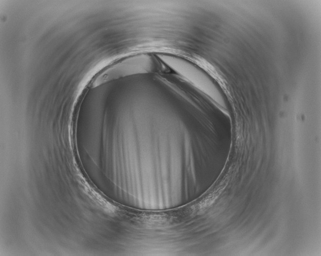 X0000059041334200510281532