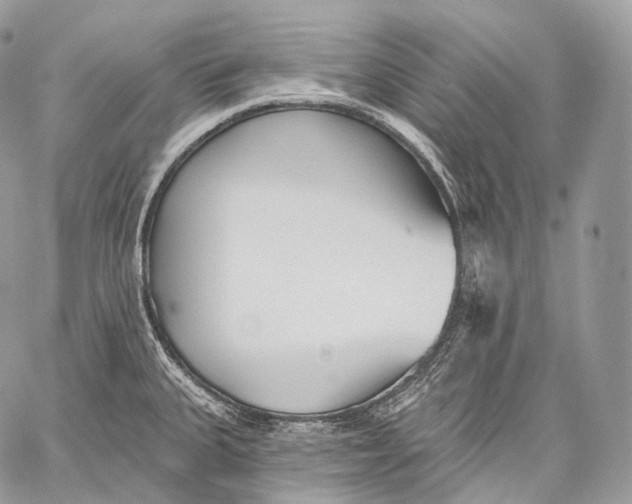 X0000059041335200510281532