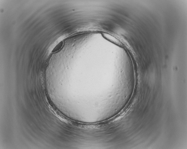 X0000059041337200510281532