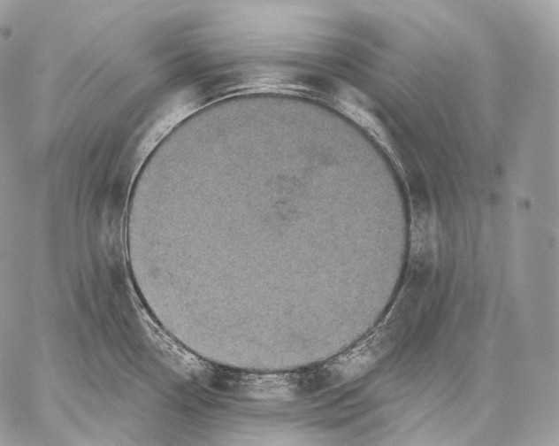 X0000059041338200510281532