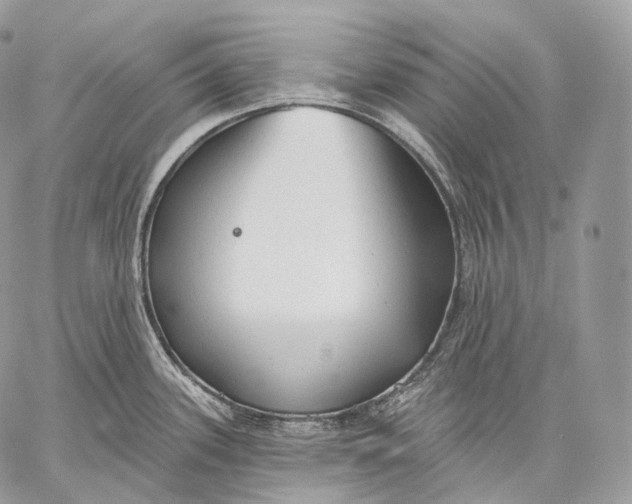 X0000059041339200510281532