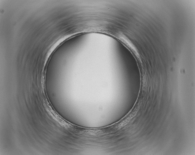 X0000059041340200510281532