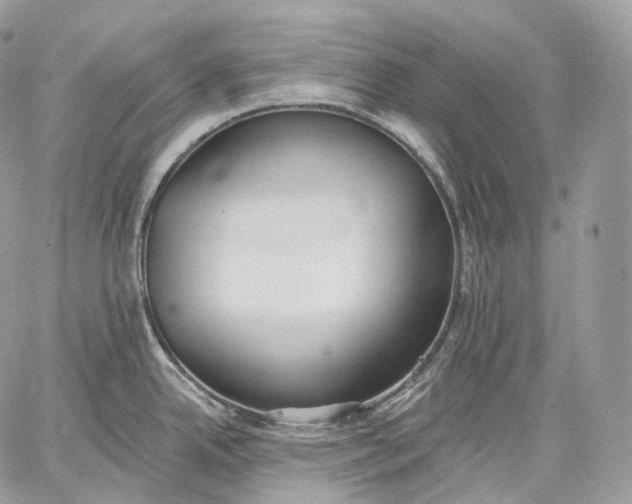 X0000059041342200510281533