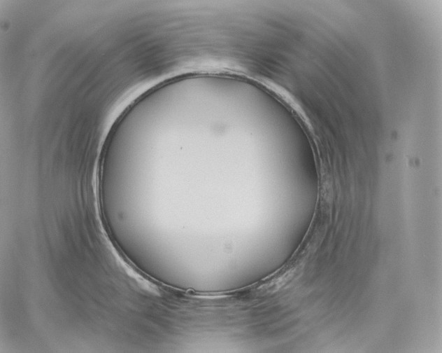 X0000059041343200510281533