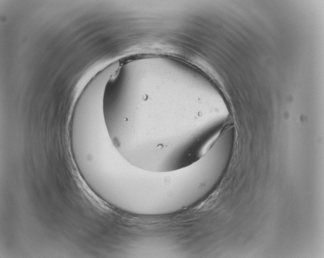 X0000059041344200510281533