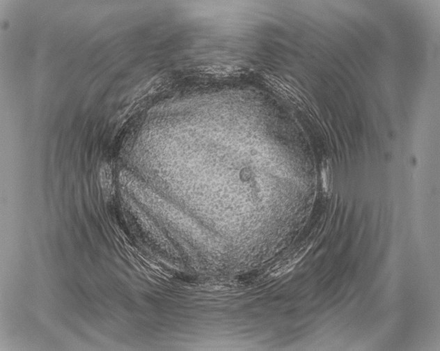 X0000059041347200510281532