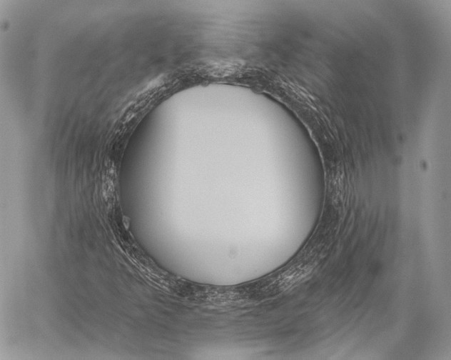 X0000059041349200510281532