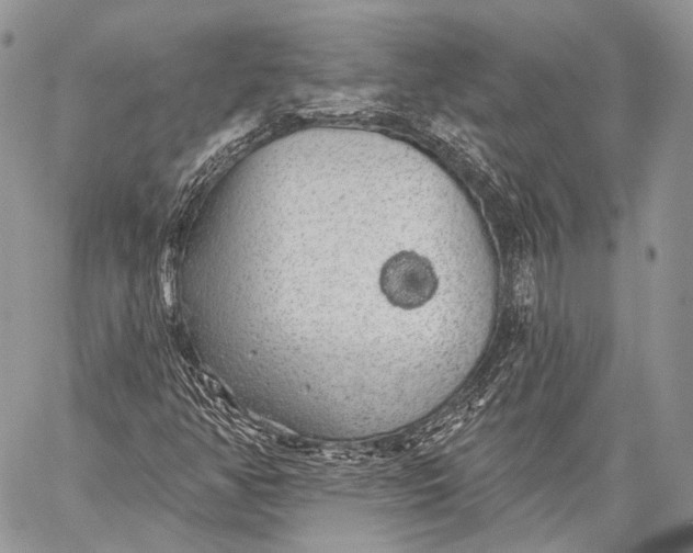 X0000059041350200510281532