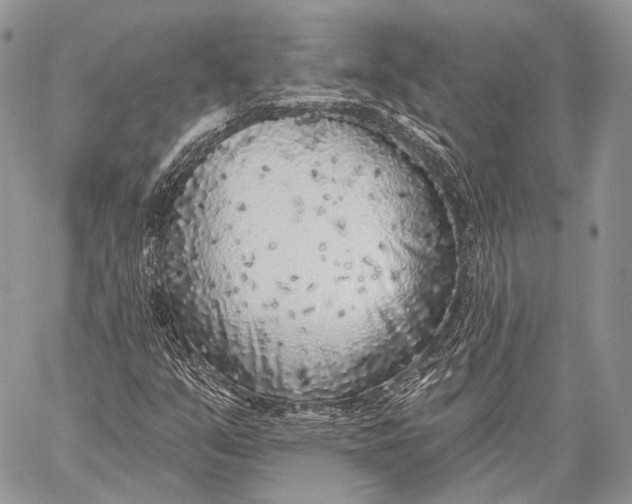 X0000059041351200510281532