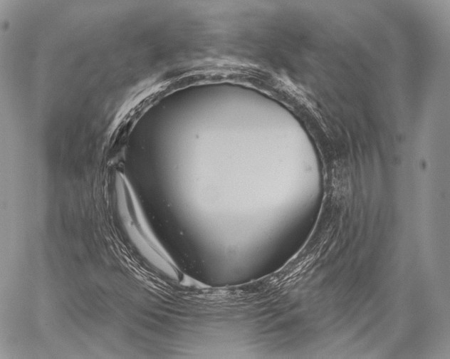 X0000059041352200510281532