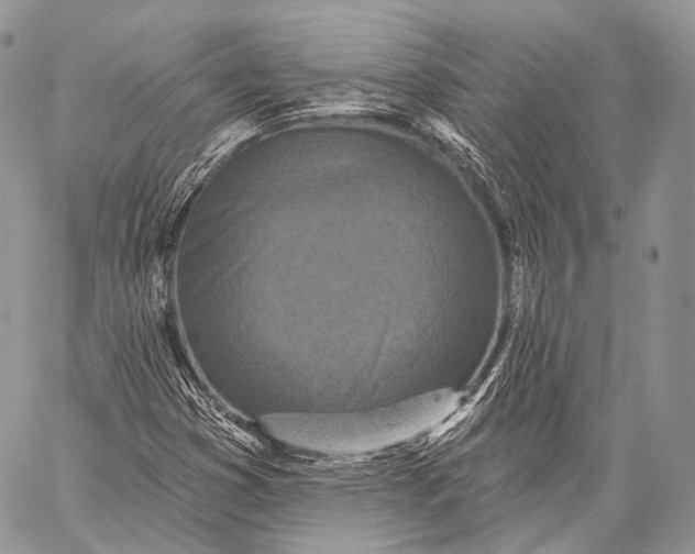 X0000059041353200510281532