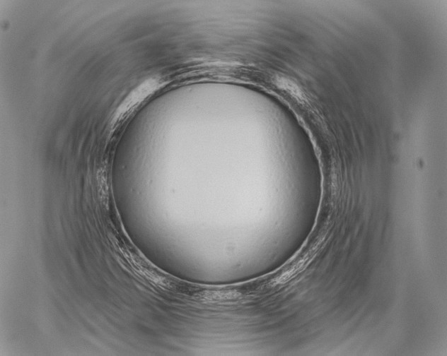 X0000059041354200510281532