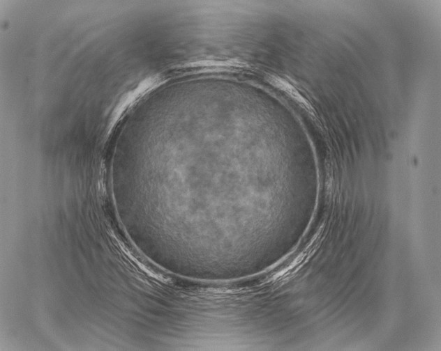 X0000059041357200510281532