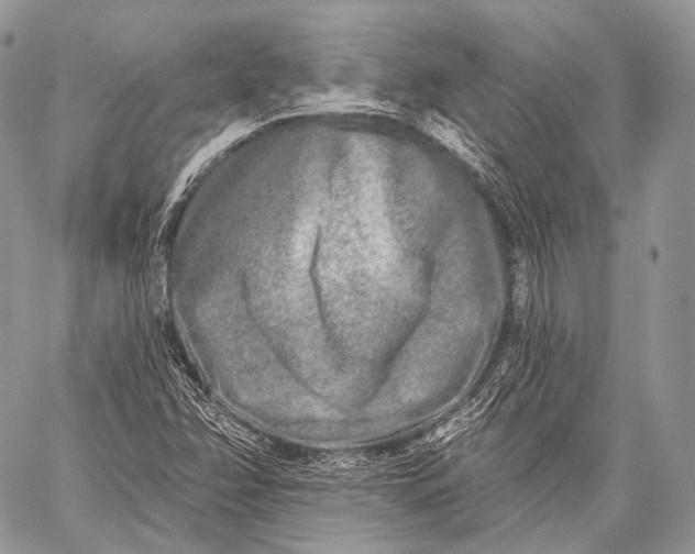 X0000059041358200510281532