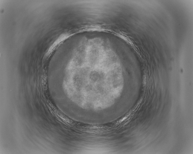 X0000059041359200510281532