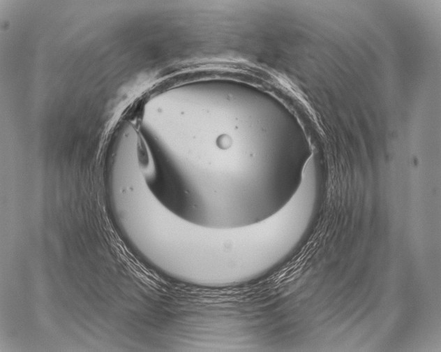 X0000059041360200510281532