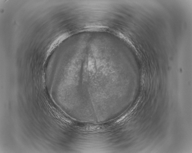 X0000059041362200510281531