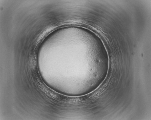 X0000059041363200510281531