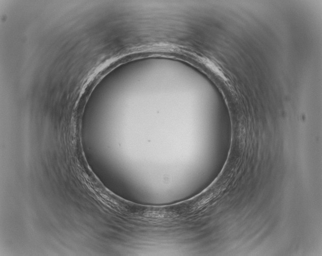 X0000059041364200510281531