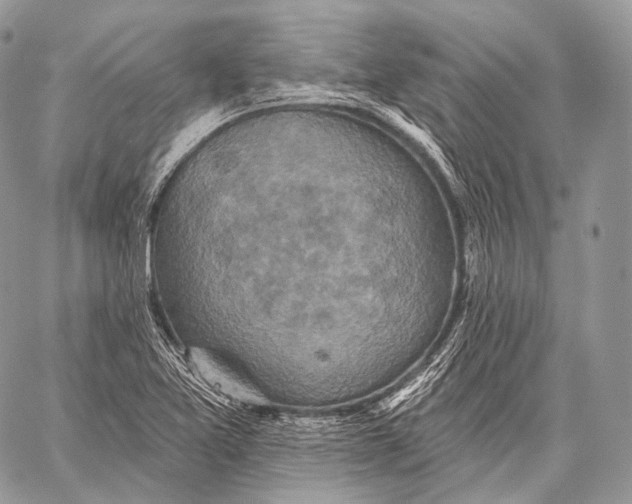 X0000059041365200510281531